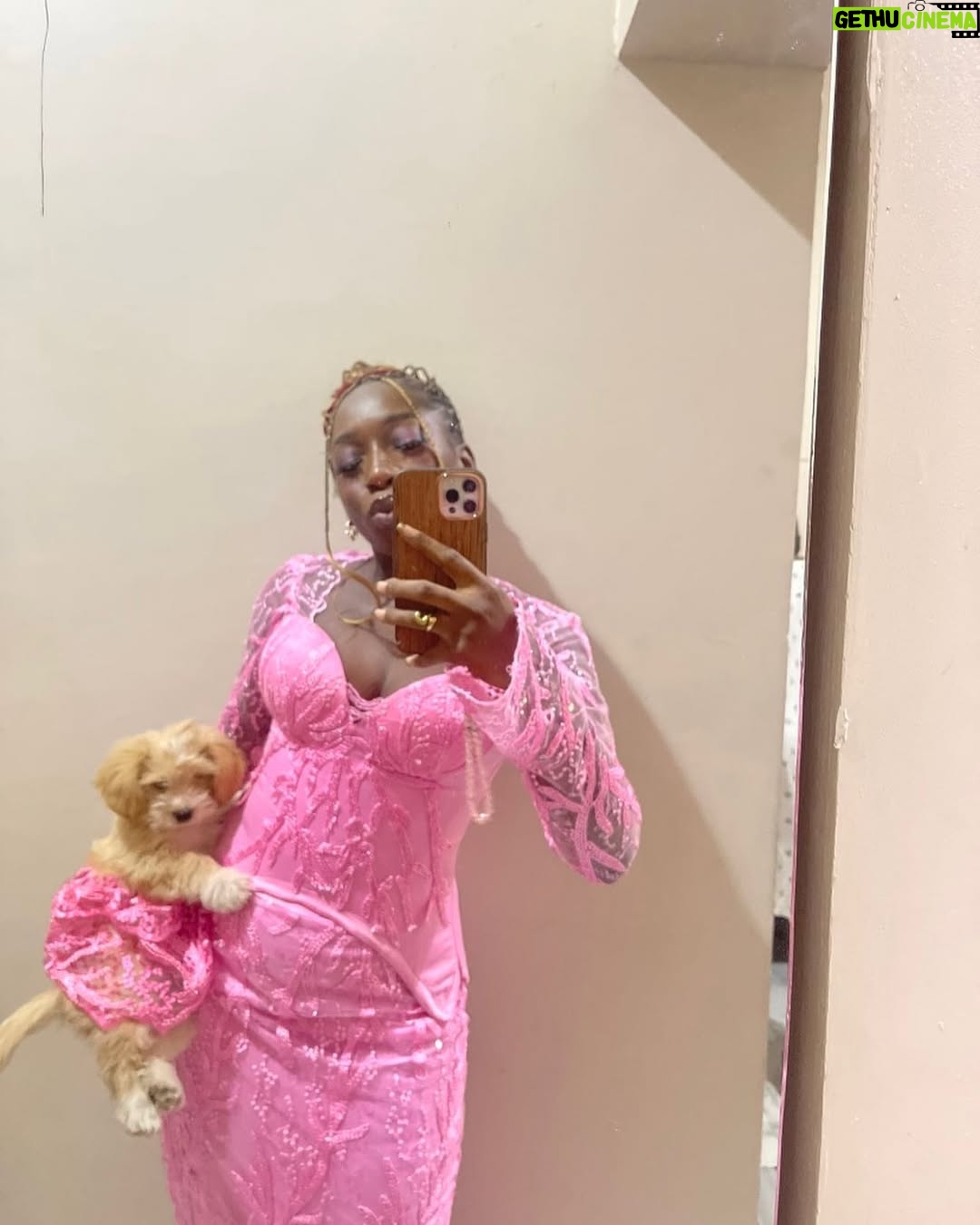 Tonto Dikeh - 3 Likes - Lady stuns in photos with the aso ebi she made for her dog and herself!😂🥰
#explore #funny