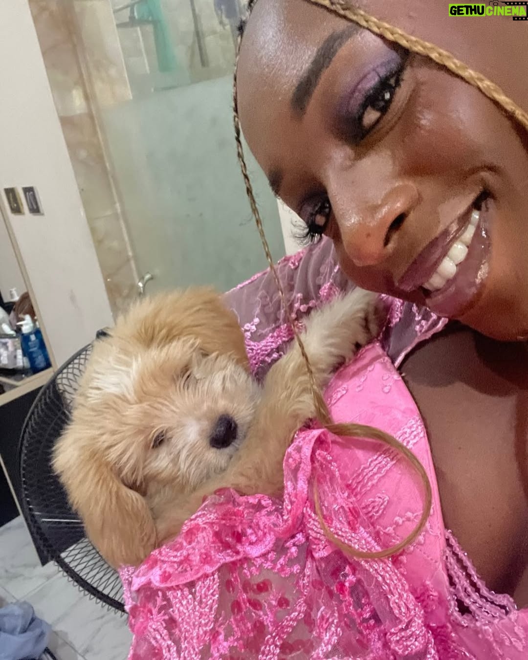 Tonto Dikeh - 3 Likes - Lady stuns in photos with the aso ebi she made for her dog and herself!😂🥰
#explore #funny
