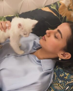Yashma Gill Instagram - Losing Jojo felt like losing a part of my own body. I was shattered, devastated, and in complete shock.
While the pain may never fully fade, what my best friend, my sister did to ease the grief reminded me of how truly lucky I am to have such beautiful people in my life. She brought light back into my world through the tiny paws of a new soul.

I will love you forever and already your sweet little eyes have carved out a big place in my heart and life.
Welcome, Ashweria (yes, I know it’s a male cat—but I’m sure you all get the backstory 🤣).

You came into my life in Jojo’s memory and farewell, and that makes it an even bigger responsibility for me to give you nothing but the best of the best.
Love you, my lil munchkin. And thank you once again, @haniaheheofficial , for saving my heart when it was breaking. ❤️