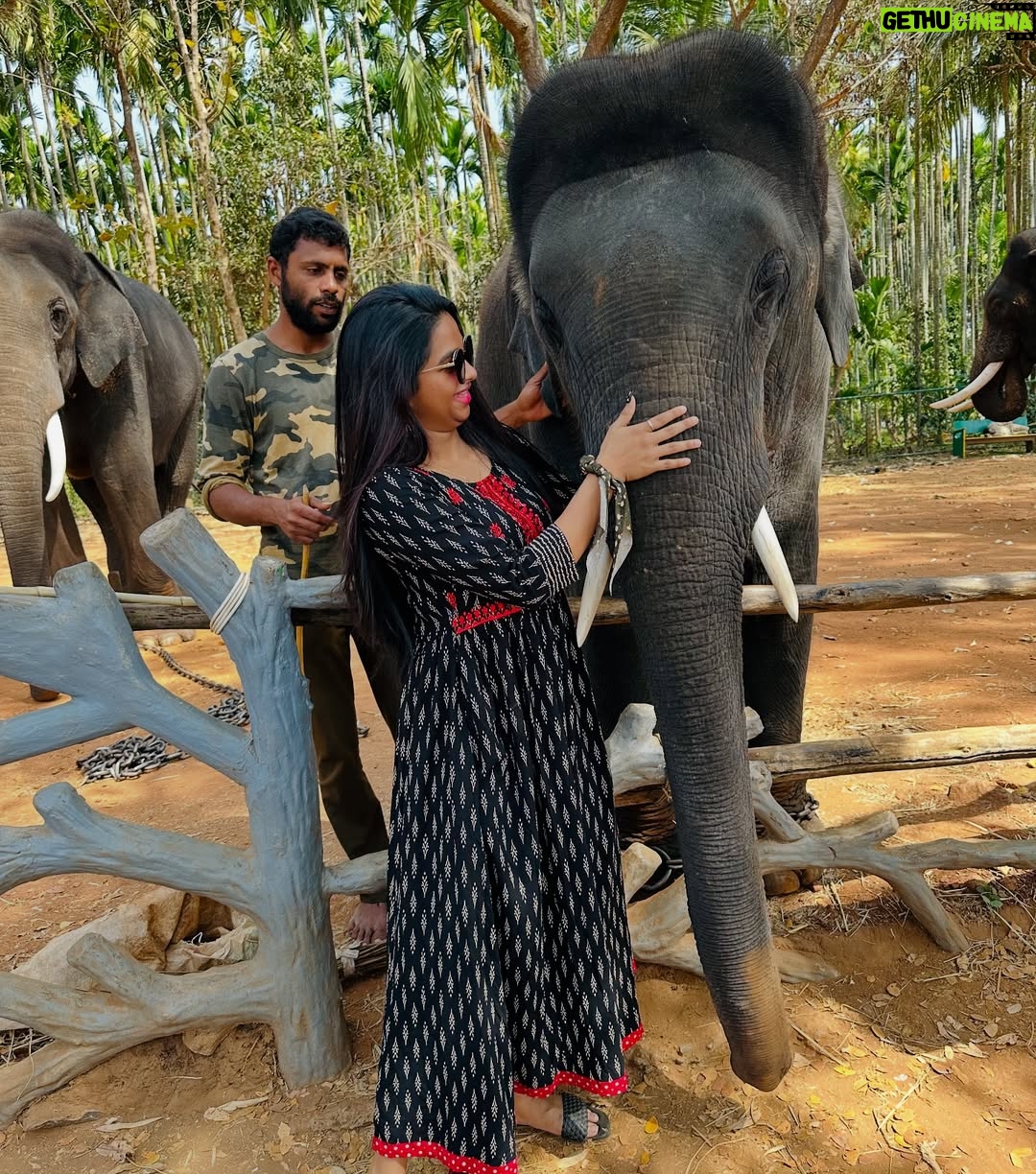 brunda Prabhakar - 8.4K Likes - Trunk hugs are the best hugs. My jumbo-sized ele friend sending you trunkfull of love 🥰💖
Vc - @ashashivashankar1323
#brundaprabhakar #instapost #elephant #sakrebailu #elephantsofinstagram #ele #elephantcamp #instadaily