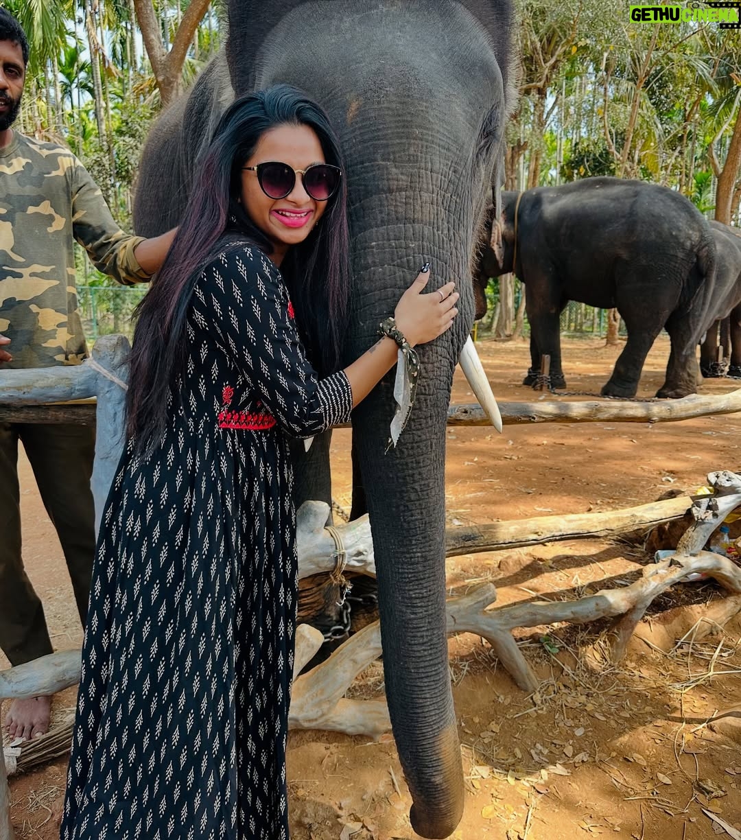 brunda Prabhakar - 8.4K Likes - Trunk hugs are the best hugs. My jumbo-sized ele friend sending you trunkfull of love 🥰💖
Vc - @ashashivashankar1323
#brundaprabhakar #instapost #elephant #sakrebailu #elephantsofinstagram #ele #elephantcamp #instadaily