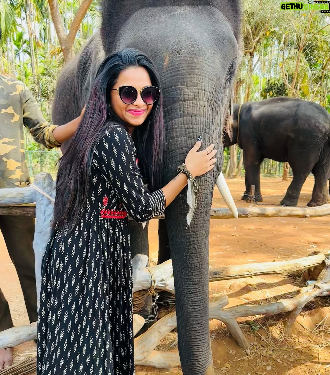 brunda Prabhakar - 8.4K Likes - Trunk hugs are the best hugs. My jumbo-sized ele friend sending you trunkfull of love 🥰💖
Vc - @ashashivashankar1323
#brundaprabhakar #instapost #elephant #sakrebailu #elephantsofinstagram #ele #elephantcamp #instadaily