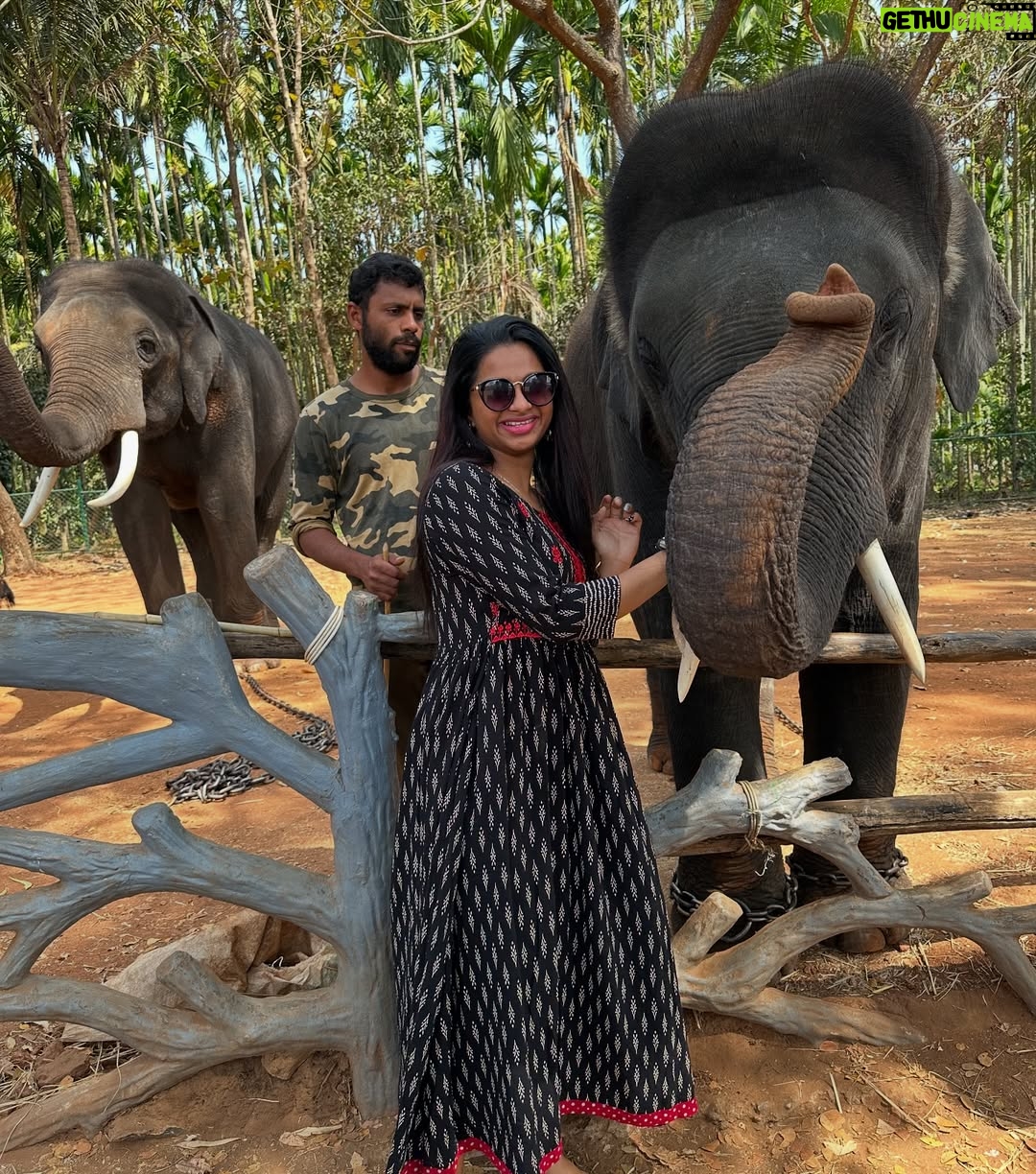 brunda Prabhakar - 8.4K Likes - Trunk hugs are the best hugs. My jumbo-sized ele friend sending you trunkfull of love 🥰💖
Vc - @ashashivashankar1323
#brundaprabhakar #instapost #elephant #sakrebailu #elephantsofinstagram #ele #elephantcamp #instadaily