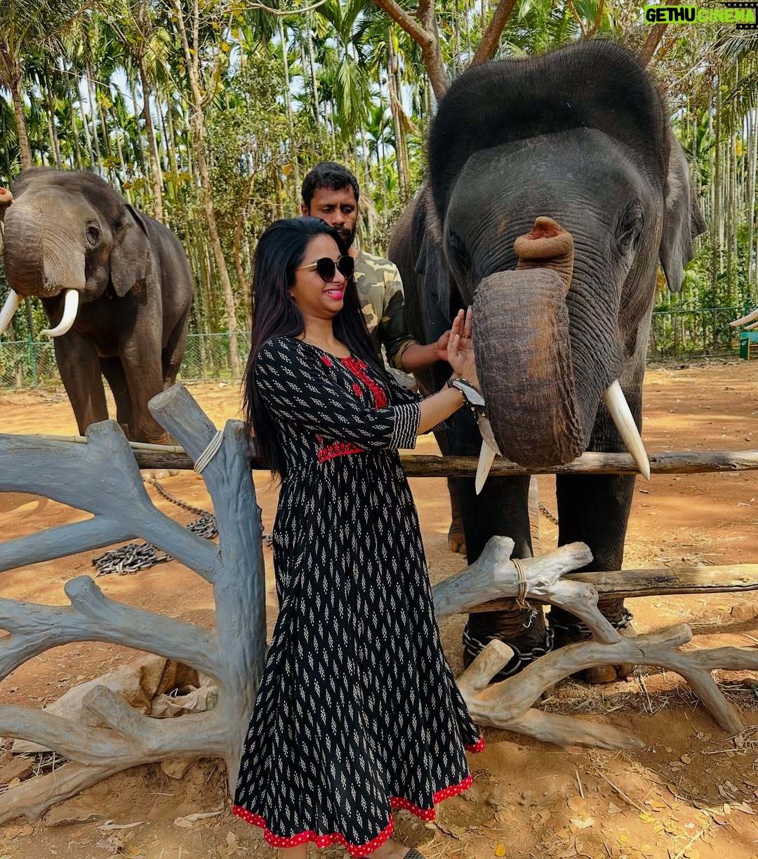 brunda Prabhakar - 8.4K Likes - Trunk hugs are the best hugs. My jumbo-sized ele friend sending you trunkfull of love 🥰💖
Vc - @ashashivashankar1323
#brundaprabhakar #instapost #elephant #sakrebailu #elephantsofinstagram #ele #elephantcamp #instadaily