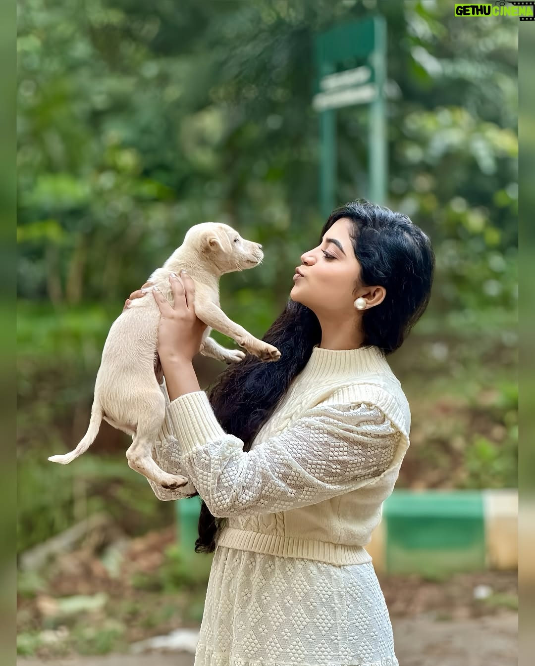 nethra gowdaa - 10.5K Likes - <Swipeeeāŗļøš¤āØ
#nethragowda