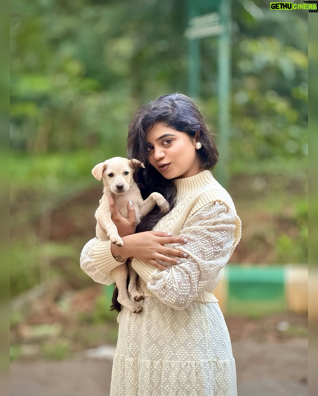 nethra gowdaa - 10.5K Likes - <Swipeeeāŗļøš¤āØ
#nethragowda