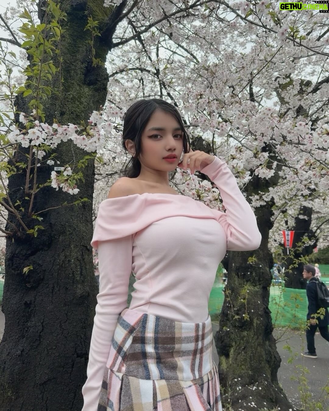 uwudracu - 8.1K Likes - Sakuras & Kobe Beef to rmb my april 💞