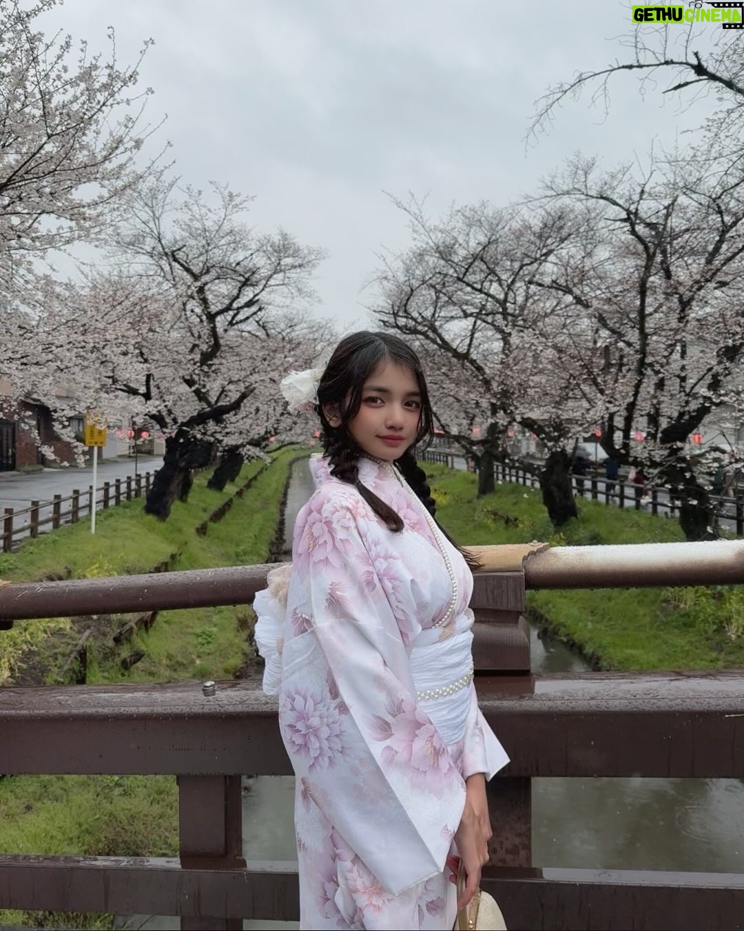 uwudracu - 8.1K Likes - Sakuras & Kobe Beef to rmb my april 💞