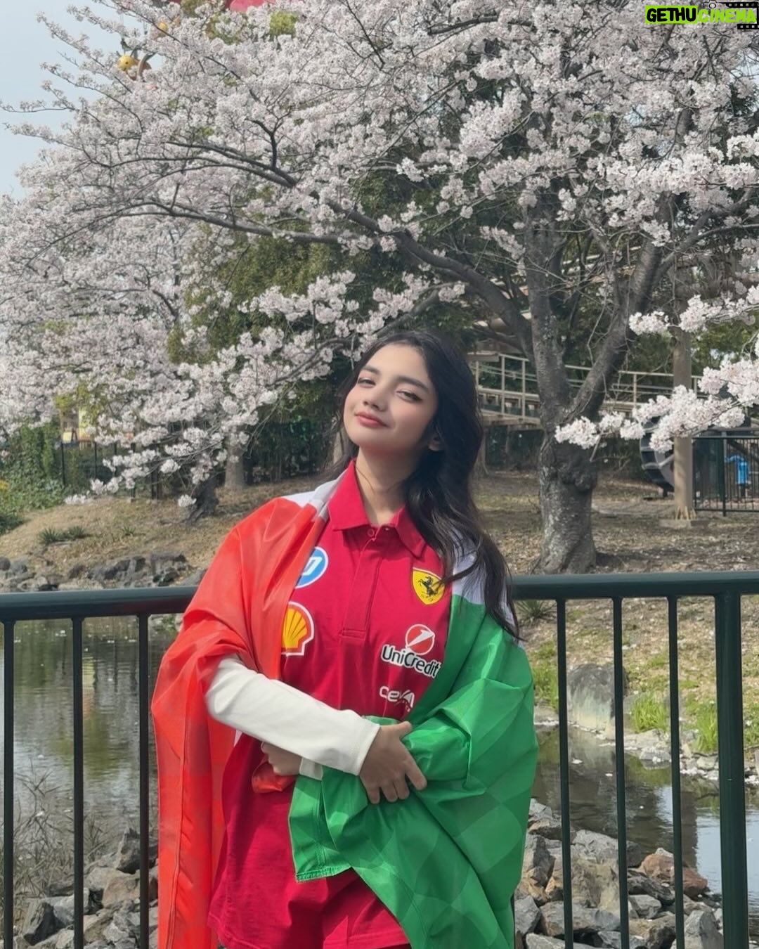 uwudracu - 8.1K Likes - Sakuras & Kobe Beef to rmb my april 💞