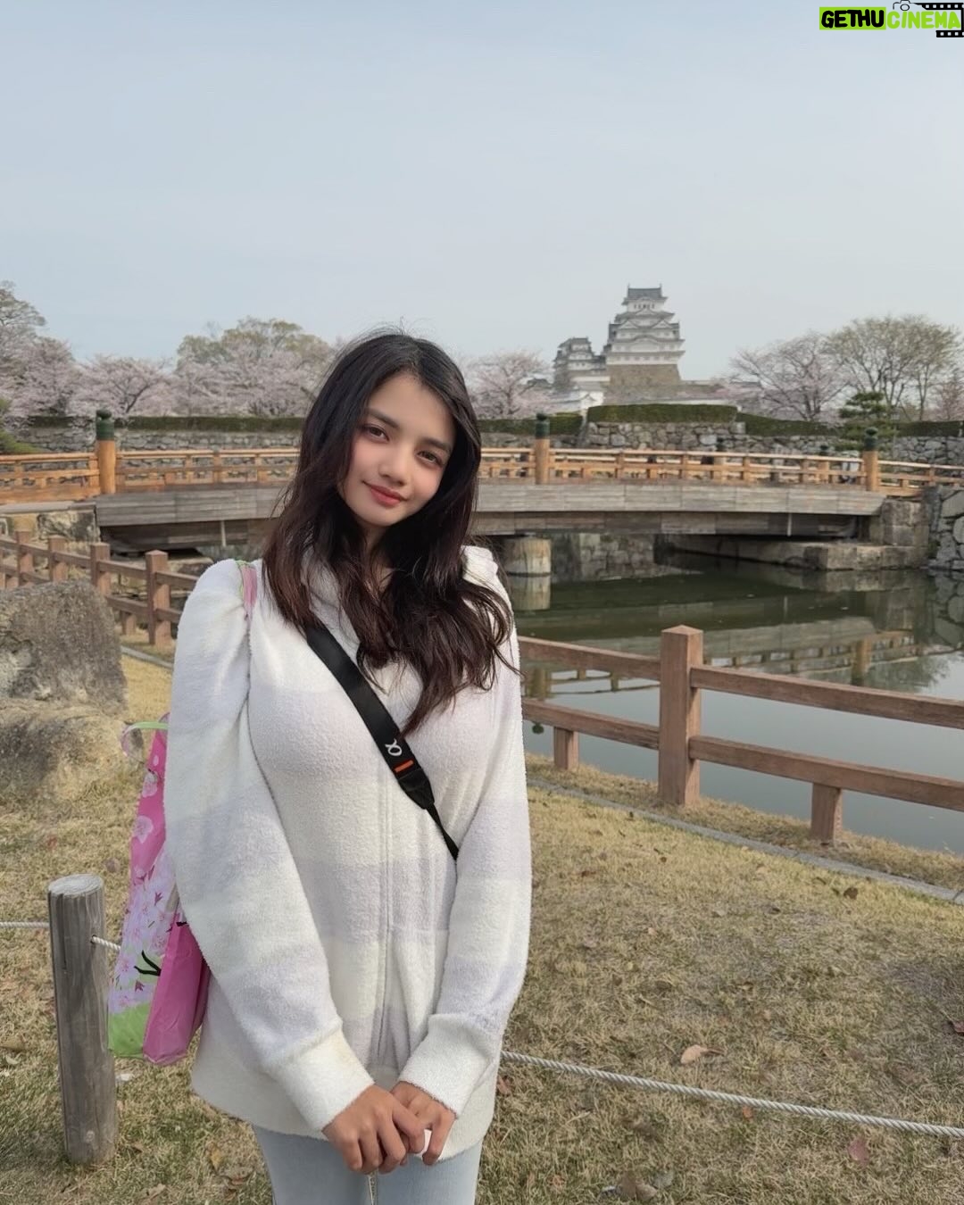 uwudracu - 8.1K Likes - Sakuras & Kobe Beef to rmb my april 💞
