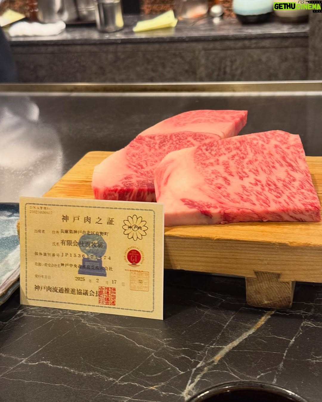 uwudracu - 8.1K Likes - Sakuras & Kobe Beef to rmb my april 💞