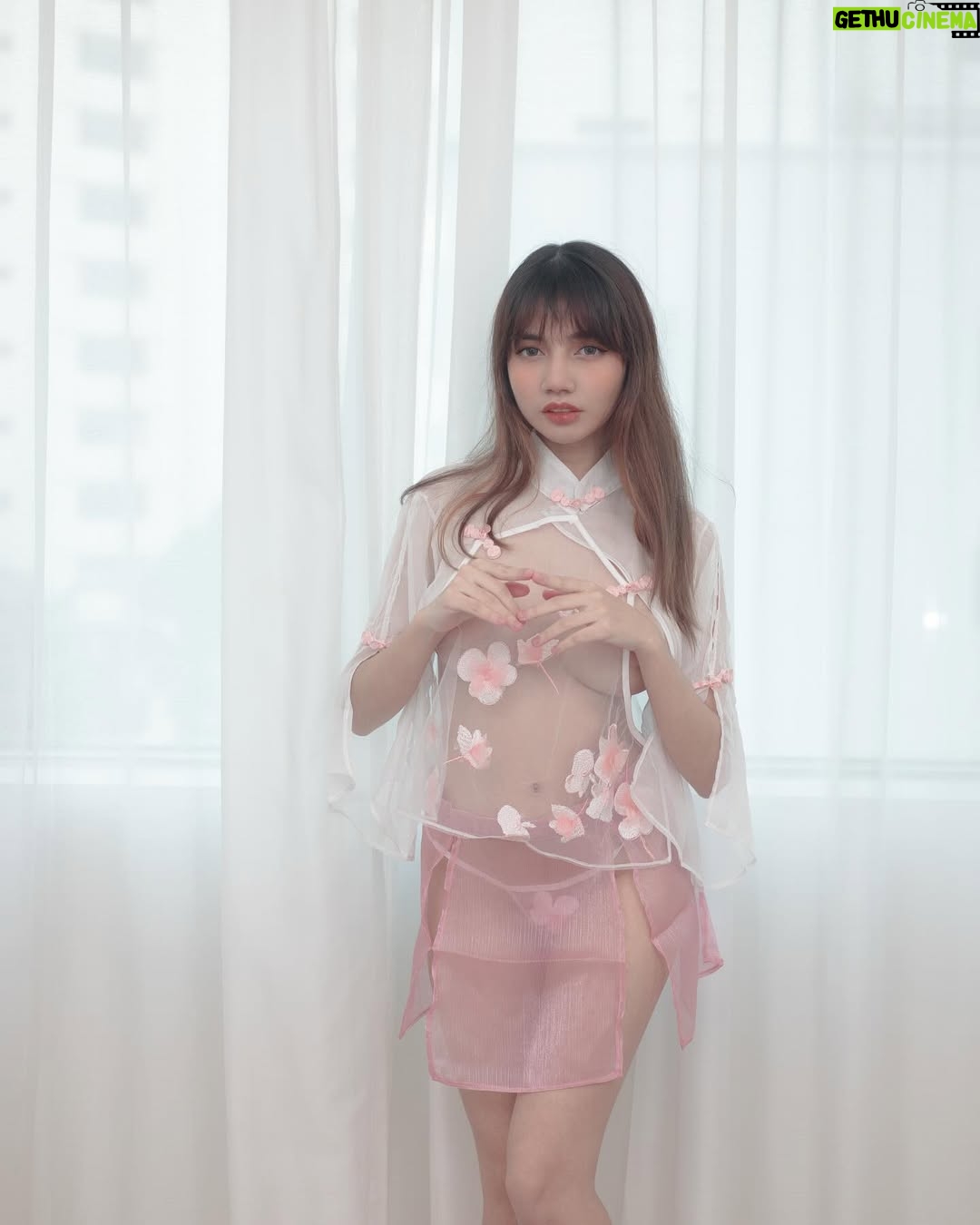 uwudracu - 24.7K Likes - its sakura season 🌸