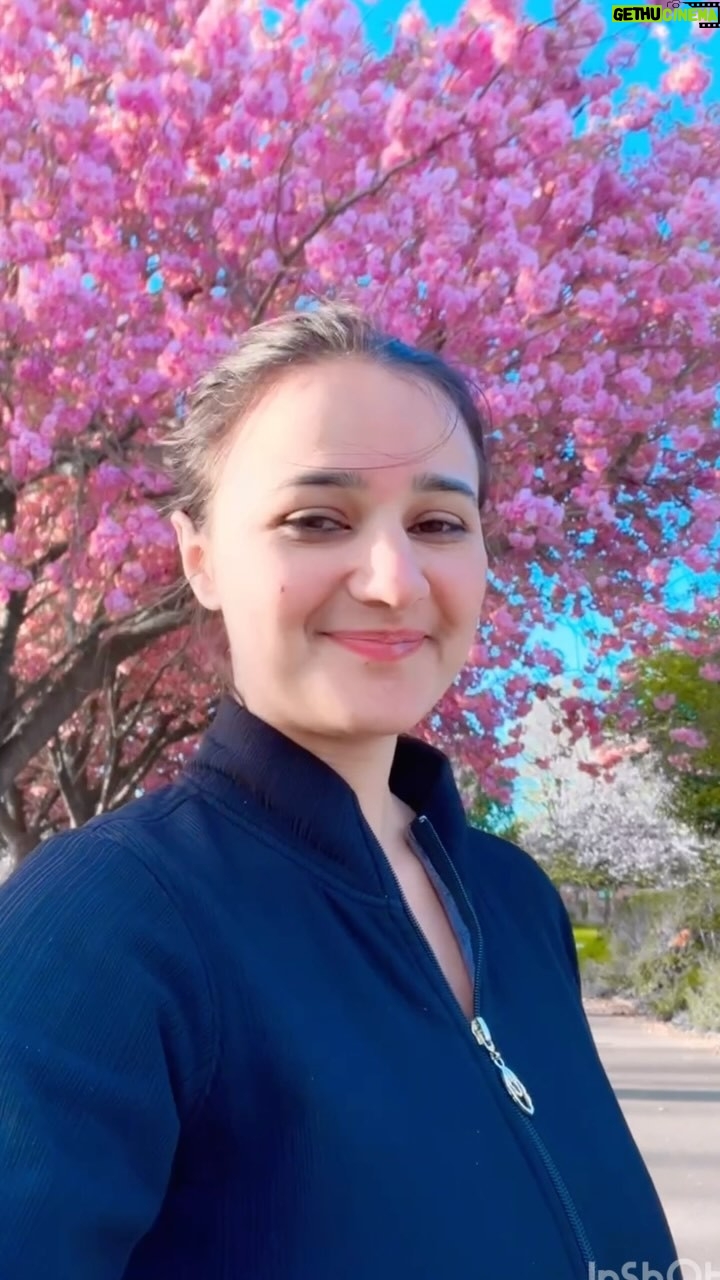 Aarti Singh - 66.8K Likes - 🙌🏻🌸🧿 always you #love