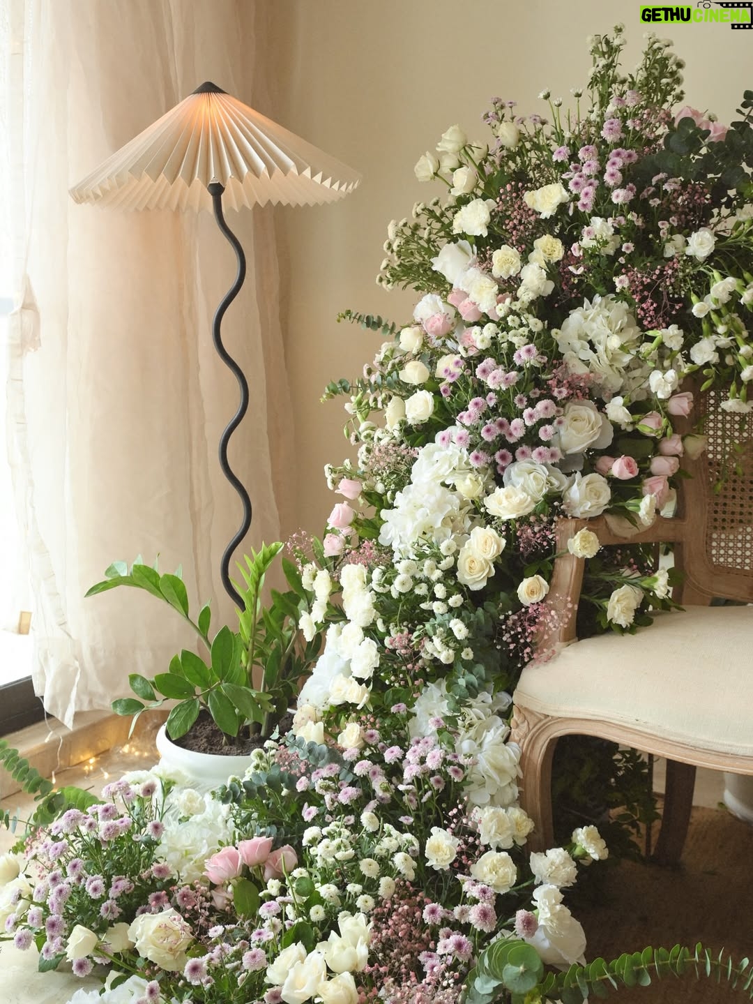Aashna Hegde - 249.2K Likes - where the heart is 🏡💓

decor by @doitup.today