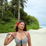 Aashna Hegde