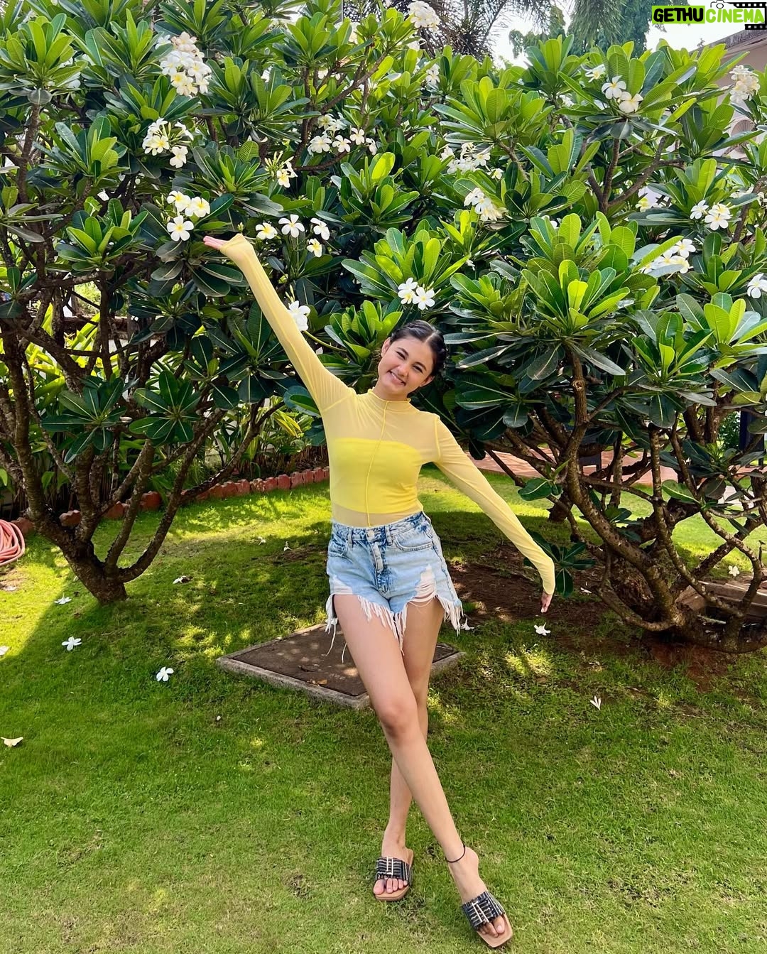 Aayushi Verma - 480.9K Likes - Latelyyy🌊🐚🧜‍♀️🏝️🌸