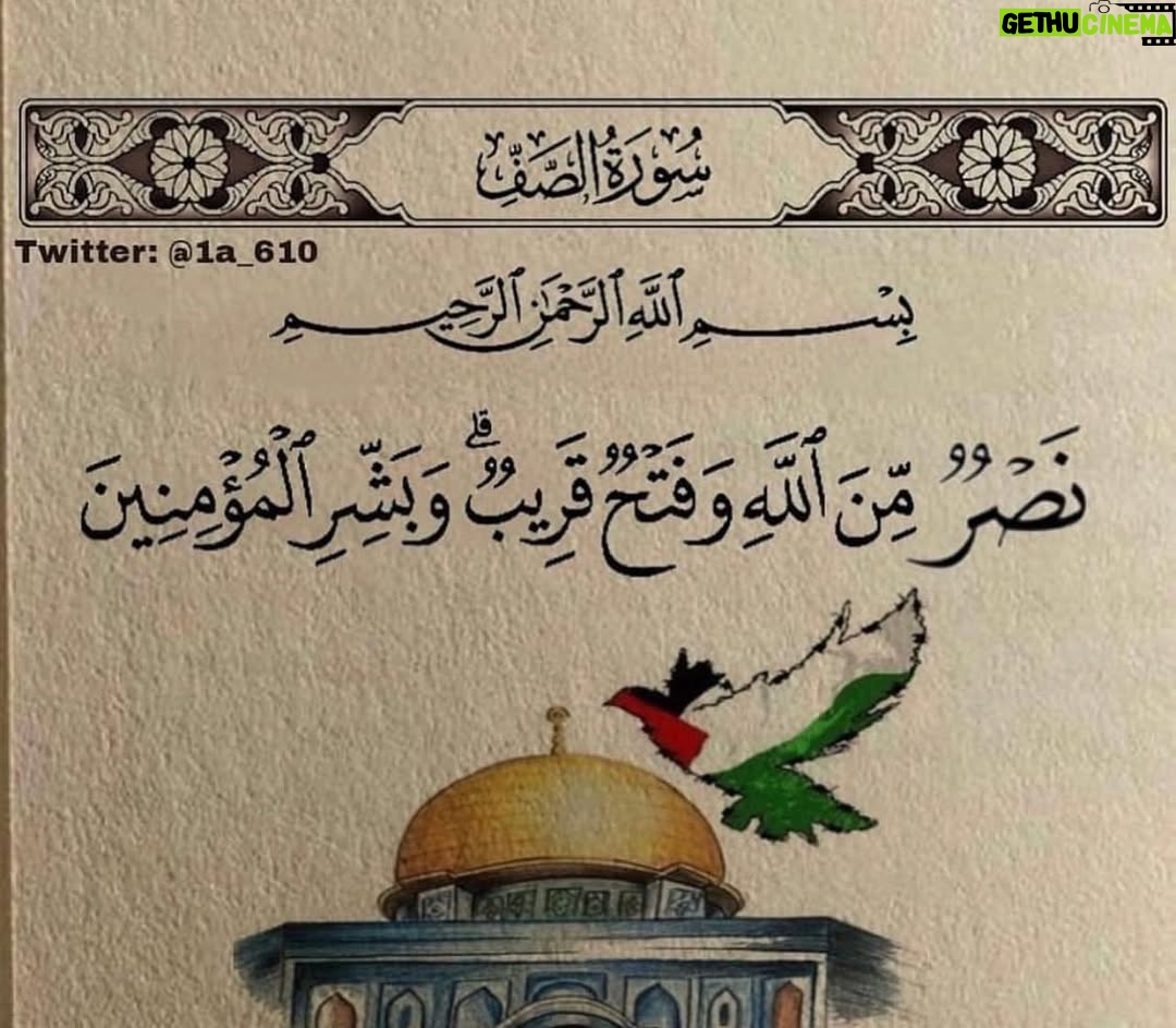 Abeer Shams Al-Deen - 2.5K Likes - صباح القدس