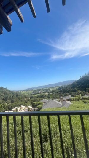 Adriana Ferreyr Instagram - Peaceful Saturday 😃