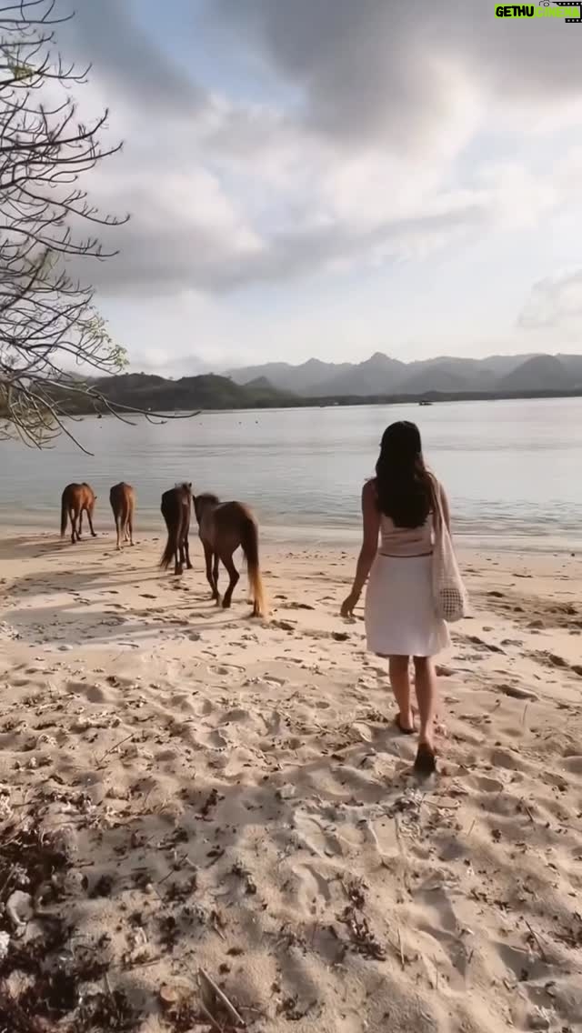 Agatha Valerie - 403 Likes - My kind of theraphy 🥥🤍🐎