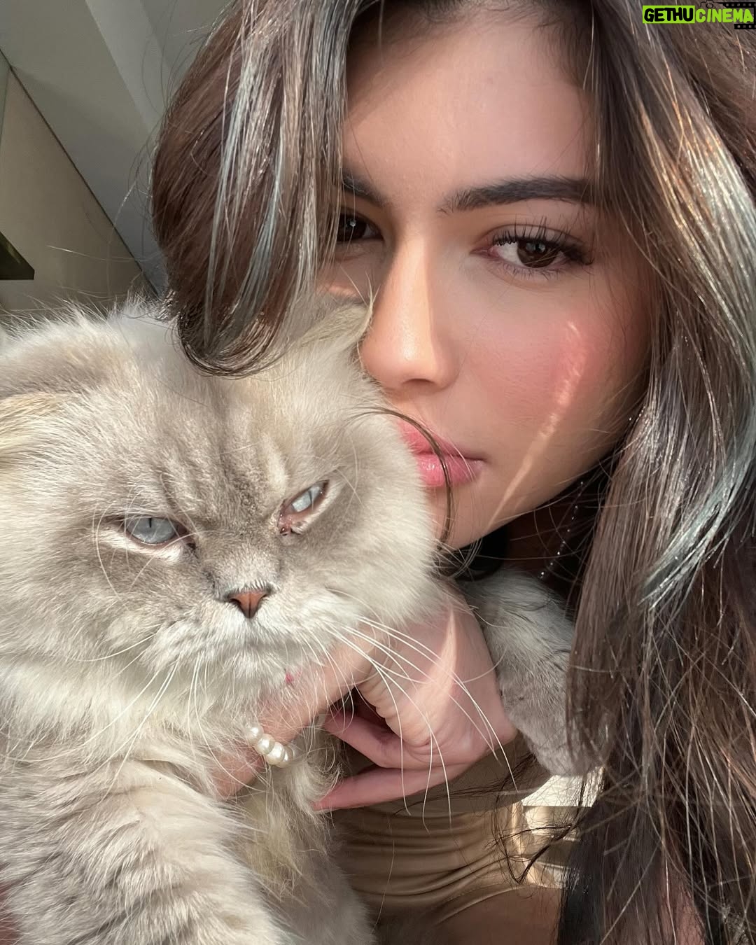 Agatha Valerie - 3 Likes - Meow