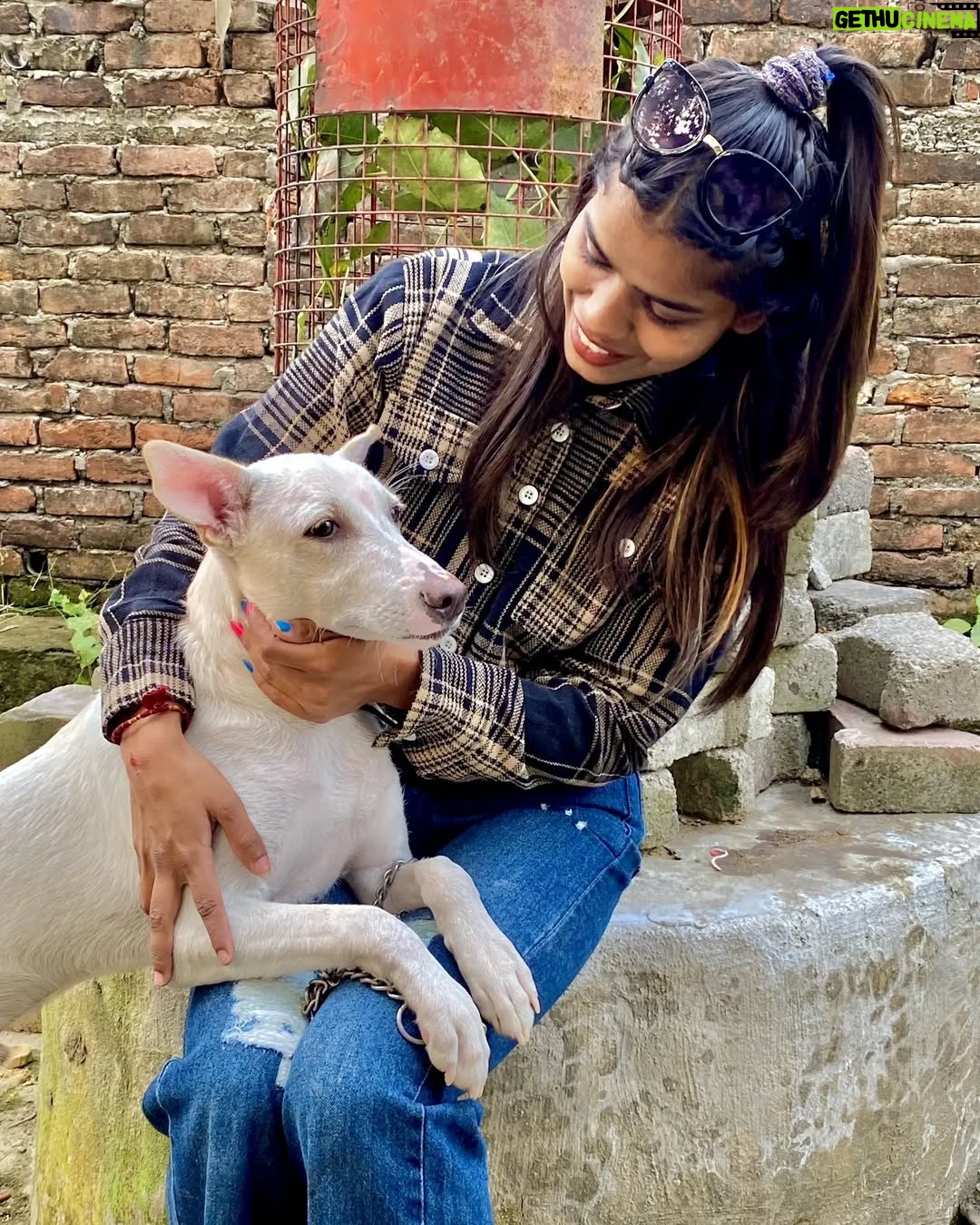 Aisha - 1.9K Likes - Tiger❤️😍😎😈
.
#instagram#instagood #instafashion #instalike #photography #photooftheday #photoshoot #picoftheday #pet #petlovers #dog #likeforlikes #likeforfollow