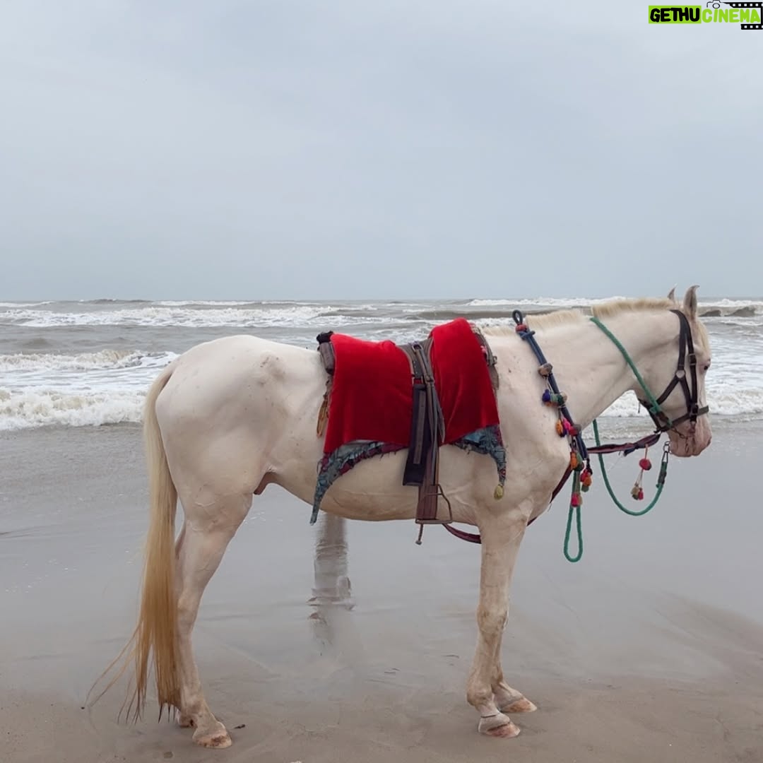 Akanksha Dhalani - 3 Likes - This is how unplanned beach day looks like🏖️🐚☀️🌊
