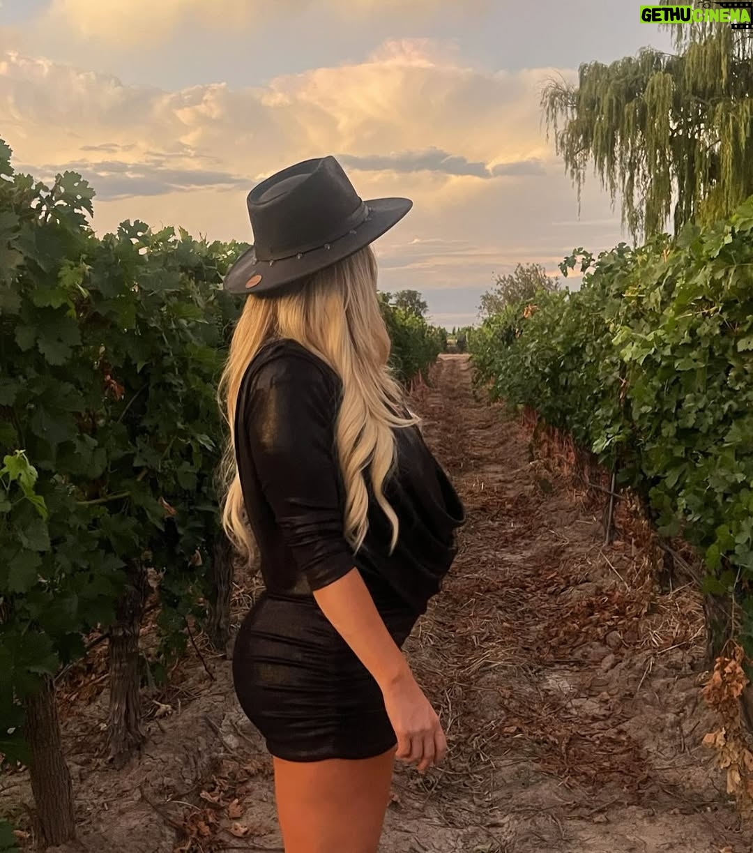 Alejandra Maglietti - 46.5K Likes - En Mendoza, una provincia que me encanta, primer casamiento embarazada y primer brindis… ¡con agua! 🍷✨ Disfrutando de este paisaje increíble, aunque esta vez sin copa en mano. ¿Se brinda igual, no? 💜 #Mendoza #BebéEnCamino ❤️