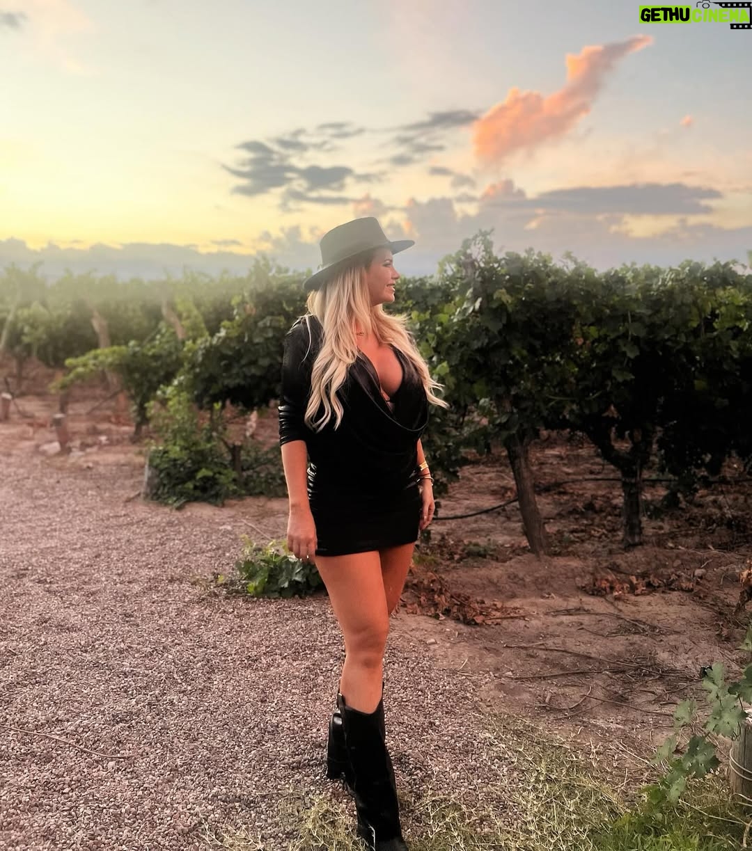 Alejandra Maglietti - 46.5K Likes - En Mendoza, una provincia que me encanta, primer casamiento embarazada y primer brindis… ¡con agua! 🍷✨ Disfrutando de este paisaje increíble, aunque esta vez sin copa en mano. ¿Se brinda igual, no? 💜 #Mendoza #BebéEnCamino ❤️