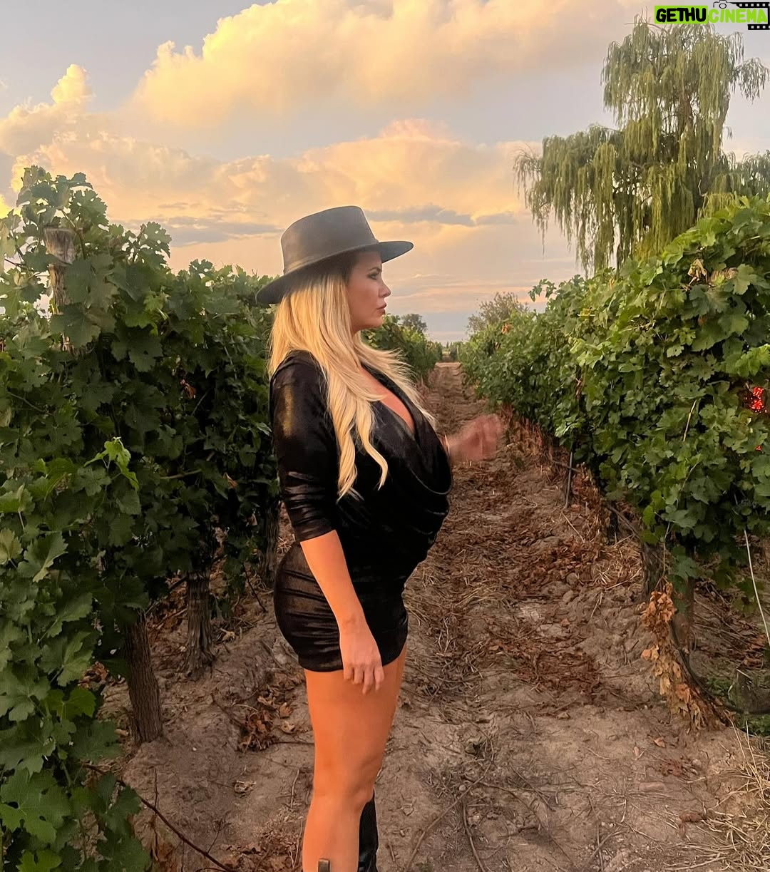 Alejandra Maglietti - 46.5K Likes - En Mendoza, una provincia que me encanta, primer casamiento embarazada y primer brindis… ¡con agua! 🍷✨ Disfrutando de este paisaje increíble, aunque esta vez sin copa en mano. ¿Se brinda igual, no? 💜 #Mendoza #BebéEnCamino ❤️