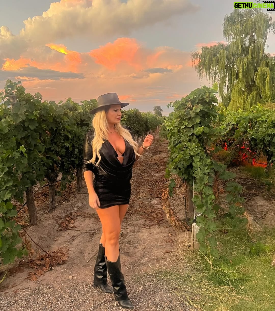 Alejandra Maglietti - 46.5K Likes - En Mendoza, una provincia que me encanta, primer casamiento embarazada y primer brindis… ¡con agua! 🍷✨ Disfrutando de este paisaje increíble, aunque esta vez sin copa en mano. ¿Se brinda igual, no? 💜 #Mendoza #BebéEnCamino ❤️
