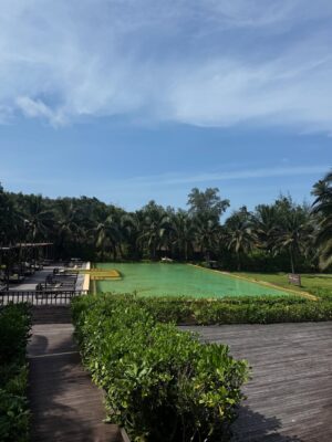 Alisa Kunkwaeng Instagram - August Energy💖🏝️☀️ ตื่นเต้นได้ไปทะเล ไปติดเกาะในรอบปี ตื่นตี4 ขับรถไปขึ้นเรือ เจอพายุ เมาเรือ เมาสองแถว เมามอเตอร์ไซด์ พอมาถึงเกาะมีแดด ฝนนิดๆ เลยแช่น้ำตั้งแต่บ่ายๆจนเย็น ขากลับรูทเดิม สองแถว เรือ และขับกลับอีก 5 ชั่วโมง เพื่อนที่นั่งข้างๆหลับสบายสุด และอาหารอร่อยมาก แฮปปี้ ขนของไปเหมือนไป7 วัน 😂😂 อยากไปอีกแล้วอ่า
.
#kohkood #kohkoodisland #trad #beachvibe #islandvibes #มะปรางอลิสา