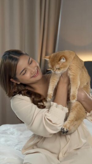 Alya Iman Instagram - My diva therapist has whiskers and naps 18 hours a day this is she, Shishi 🐾