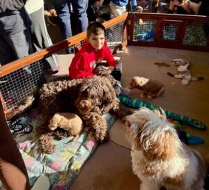 Amalia Granata Instagram - El Día Nacional del Perro se conmemora el 2 de junio de cada año en la Argentina, con el objetivo de destacar el rol de estas mascotas que, en muchos casos, son considerados un miembro más de la familia.🐾🐶🐾