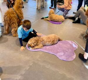 Amalia Granata Instagram - El Día Nacional del Perro se conmemora el 2 de junio de cada año en la Argentina, con el objetivo de destacar el rol de estas mascotas que, en muchos casos, son considerados un miembro más de la familia.🐾🐶🐾