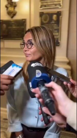 Amalia Granata Instagram - Reforma de la Constitución ⚖️