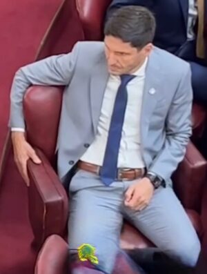 Amalia Granata Instagram - Hola 👋acá el gobernador de la provincia más insegura de Argentina tirado horas en la banca como convencional para sacar su propia reelección ! Mientras las balas en Rosario vuelan, los impuestos ahogan a los productores y la pobreza sigue subiendo. Seguramente lo reemplaza la vice !!! Pero no, ella está haciendo campaña porque es candidata a diputada nacional LA CASTA EN SU MÁXIMA EXPRESIÓN