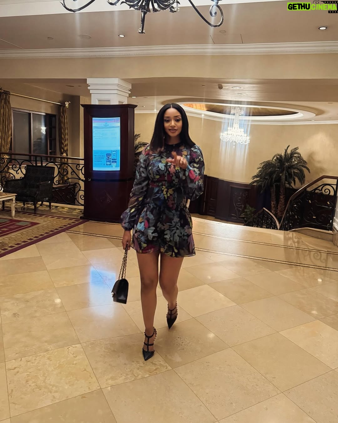 Amleset Muchie - 17.6K Likes - About last night