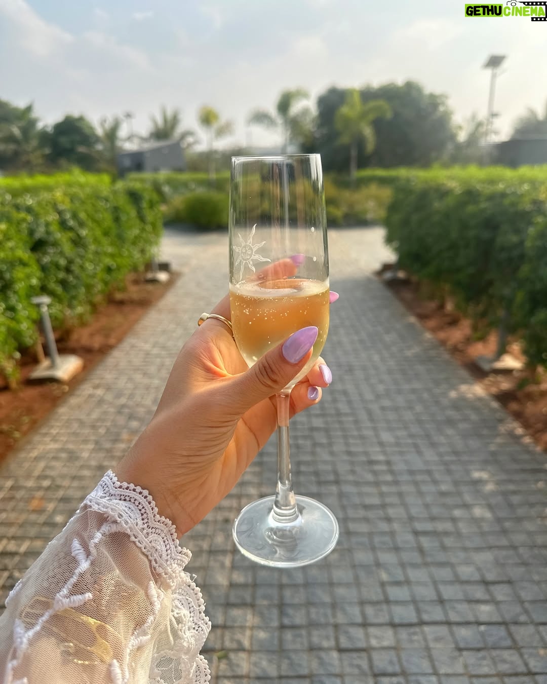 Amy - 54.8K Likes - What a time at @sula_vineyards. Rose, sunsets and pool time in the utter silence of the Nashik region 🌱

#Sula