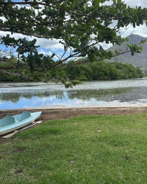 Amy Instagram - Last few days in Mauritius 🇲🇺 for the first time. Only 6 hours from Mumbai! Absolutely amazing ❣️