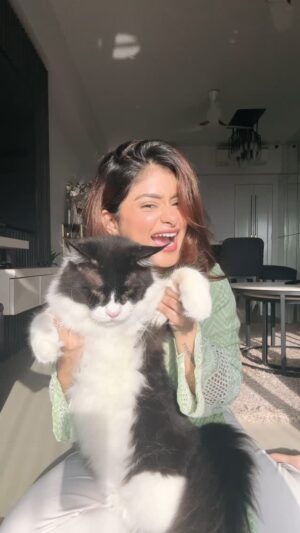 Anam Darbar Instagram - say hello to @kurama1tailcat 🤍🥰
#trend #mainecooncat #pet