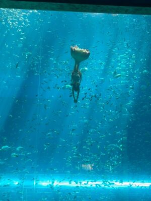 Ananya Thappa Mahajan Instagram - 🧜🏻♀️♥️