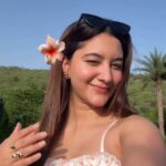 Anchal