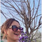 Anchal