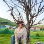Anchal