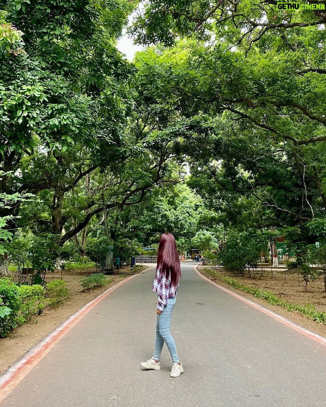 Ankita Trap - 17.5K Likes - Today🐛