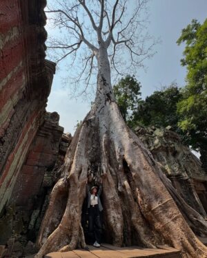Anna Iriyama Instagram - ガジュマルに侵食された遺跡タ・プローム🌳🪵
遺跡の中で謎の現地おじさんが次から次へといろんなフォトスポットに案内してくれて、頼んでないけどいっぱい写真撮ってくれて、のちに写真見たらプリクラくらいスタイル盛れてて笑った😂
最後の写真はキュートなパンオショコラ泥棒さん🐒🫶🏻
Las ruinas de Ta Prohm están súper invadidas por árboles de banyan, pero ver cómo esos troncos gigantes se enredan con las piedras antiguas fue algo místico, como si la historia y la naturaleza estuvieran abrazadas.🤝🏻
En la última foto aparece un tierno ladrón de pain au chocolat. 🙊🤍