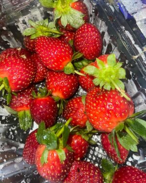 Aprena Manrose Instagram - Berrylicious moments captured just for you! 🫠🍓