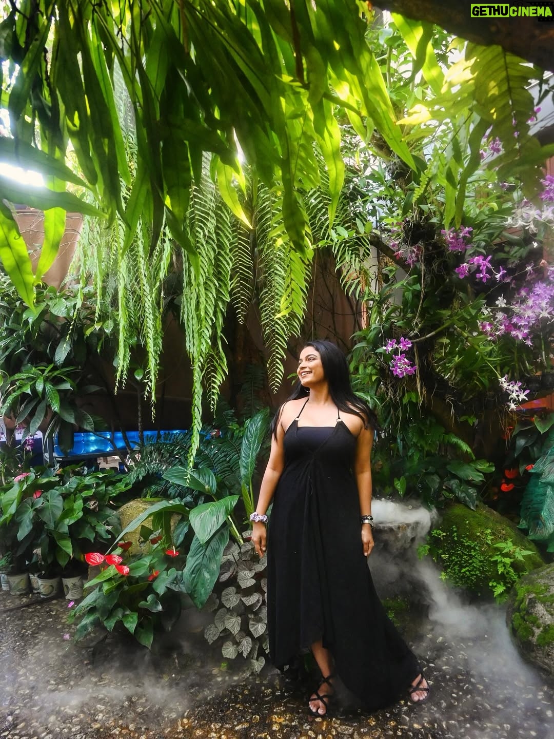 Ashwini Aanandita - 17.4K Likes - Dreamy 🍃✨