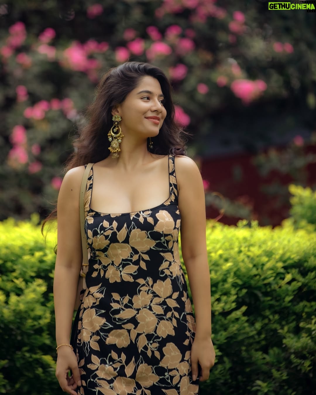 Ashwini karki - 15.5K Likes - फूल 🌷