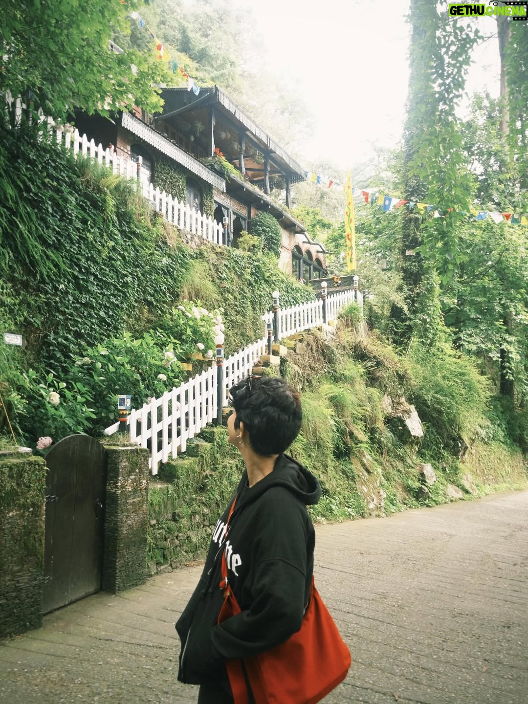 Asmita Pathik - 34.7K Likes - Back here… again. And again. And again.
.
.
.
.
.
#landour #landourbakehouse #landourmussoorie #dehradun
